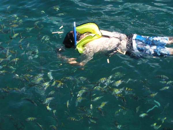 Snorkeling on the south-east coast of Grenada